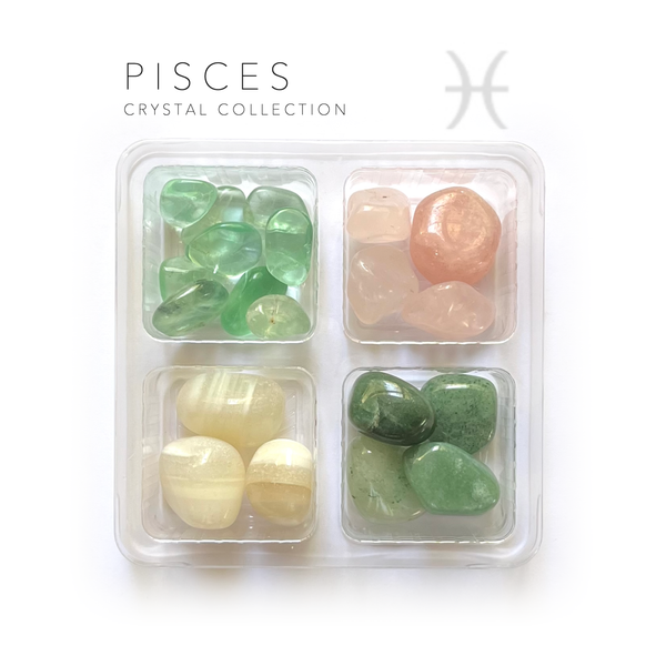 Pisces Zodiac Rox Box - jumbo- crystals and stones